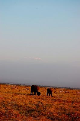 ドバイ経由ケニアサファリの旅（2） ～アンボセリ国立公園とマサイの村