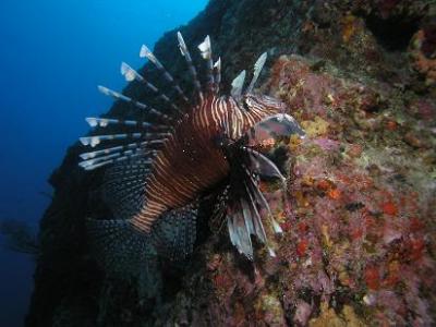 伊平屋島♪いきなりディープな沖縄体験♪ Vol.2