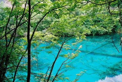 やっと来られた!(そして九寨溝編)