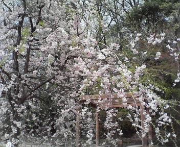 年間パスフル活用！自然博物館