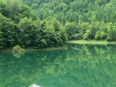 夏の北海道 ～ 花と緑をめぐる旅 ～