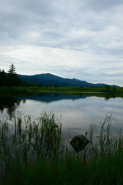 北海道自然満喫の旅?知床・釧路