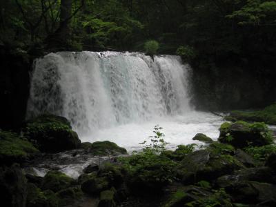 きらきら新緑の奥入瀬渓流