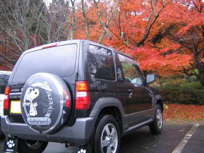百済寺（滋賀県・湖東三山）の紅葉