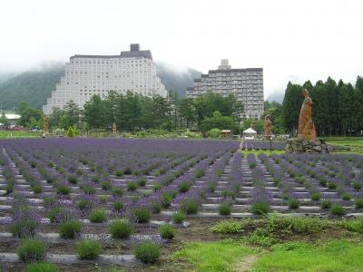 ☆リステル猪苗代☆ラベンダー花畑情報☆おまけ、会津グルメ情報