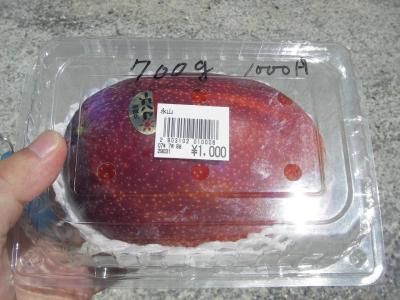 ４週連続沖縄旅行（２週目）４日目