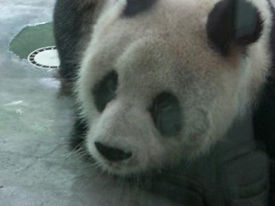 中国☆上海の旅☆