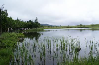 世界遺産の知床へ　?知床五湖～網走湖