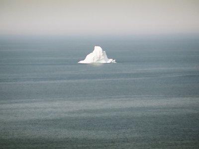 氷山が見たくて再びＮＦ島（３）