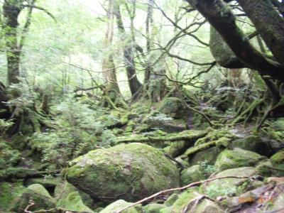 屋久島旅行