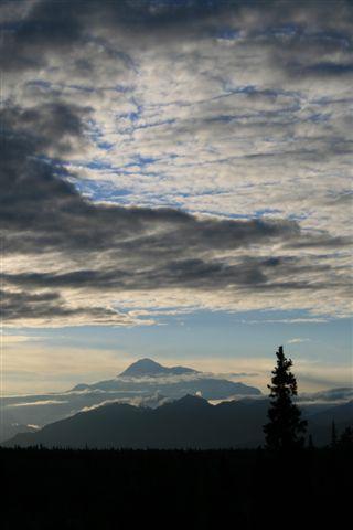 “欲張り”アラスカ【動物編】Denali（２日目）