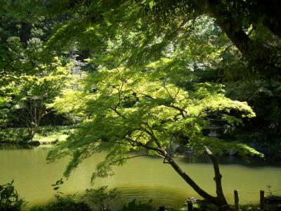 成田山と航空博物館