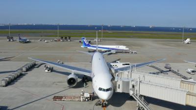 2007 屋久島旅行記? ~旅立ち編~