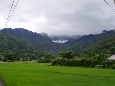 2007 屋久島旅行記? ~永田編~