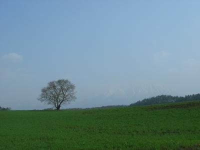 みちのく周遊 3