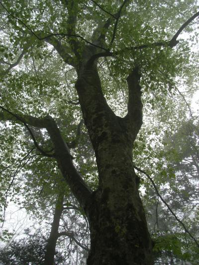 みちのく周遊 4