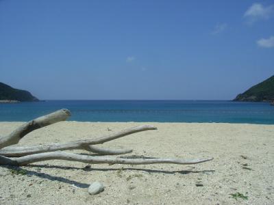 屋久島ワールド!! ~前編~