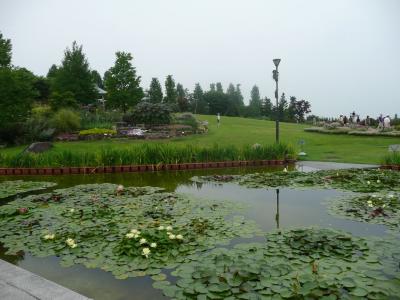 琵琶湖博物館と草津市立みずの森に行ってきました（みずの森編）