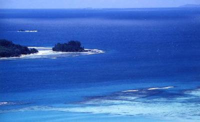 地球の島めぐりー４５島目　セイシェル諸島・マヘ島ー自然の植物園