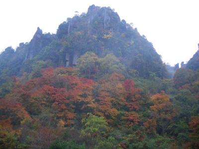 母子で日帰り紅葉バスツアー