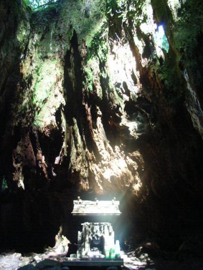 屋久島ワールド!! ~後編~