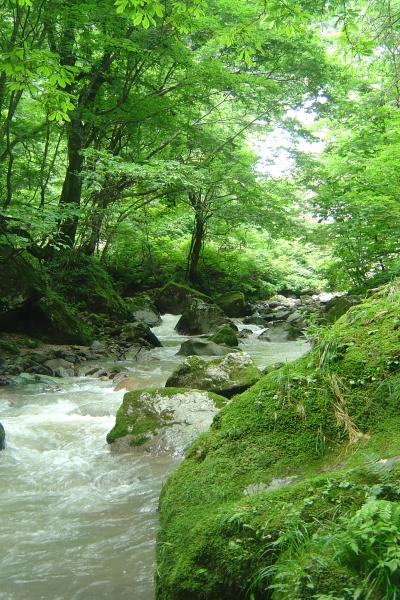 豊かな自然に包まれる喜び 「　鈴　ケ　滝　」　in 朝日村