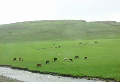 2007 Adventure in Middle-east/2nd Turkey-[the Road to the Trabzon]