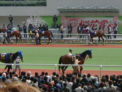 2003年桜花賞＠阪神競馬場