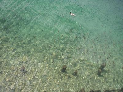 欧州大横断家族旅行　３７９８ｋｍ　その６　スロヴェニア