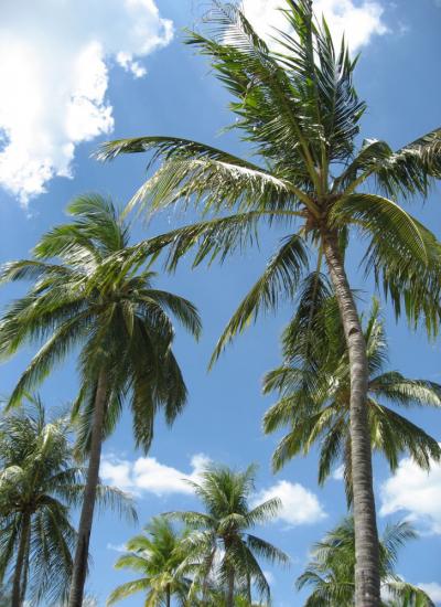 ランカウイ島?ランカウイ空港ビジネスラウンジ