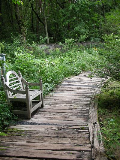 蓼科・諏訪の旅