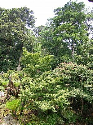 宇部は特に観光地ではありません