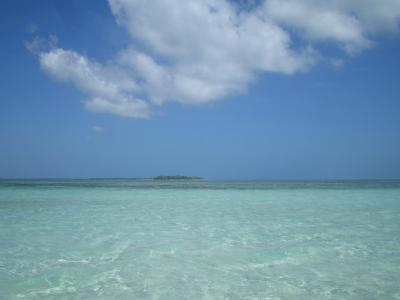 見直しました!!!セブ島