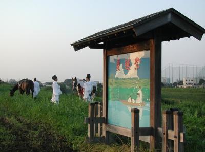 鷲宮神社夏越祭・・・鷲宮神社