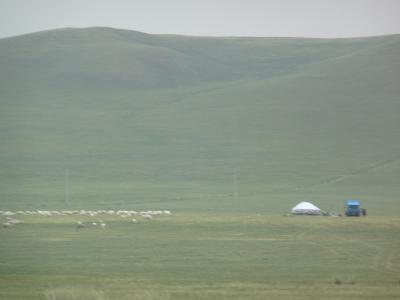内蒙古自治区　林西県で植樹　（シリンホト、林西、赤峰）