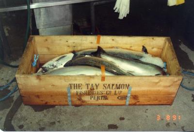 ネス湖へ！避暑の旅Scotland編part2