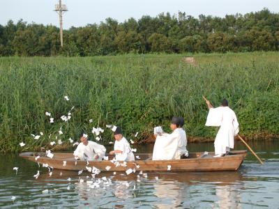 鷲宮神社夏越祭・・・大祓式