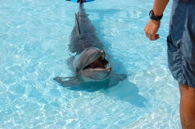 美ら海水族館！！　2日目　