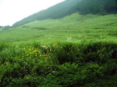 夏の箱根、高原の風を浴びながら蕎麦を食う