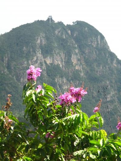 マレーシア2007-12・ランカウイ島-12　☆ロープウエイで７００ｍ到達　吊橋は靄の彼方に