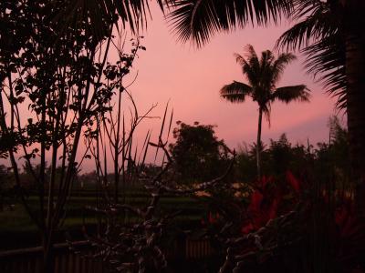 マレーシア航空Cクラスで行く ほたるの夕べ KL-BALI12日間の夏休み Chapter 3 (1st edition)