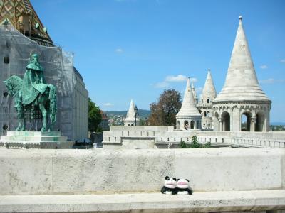 ぱんちゃんと巡るドナウ川ナイトクルーズ、ブダペストの中央市場とブダ地区