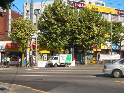 韓国3週間（２）