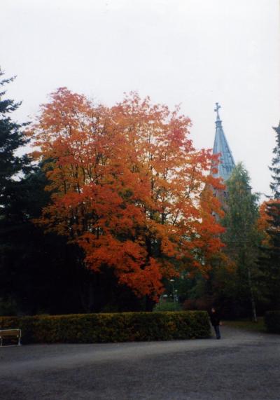 1999年秋フィンランド，ドイツ，ベルギー学会旅行2-ユバスキュラ（Jyvaskyla)
