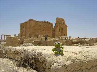 薔薇色のペトラと巨大遺跡パルミラを訪ねる旅６