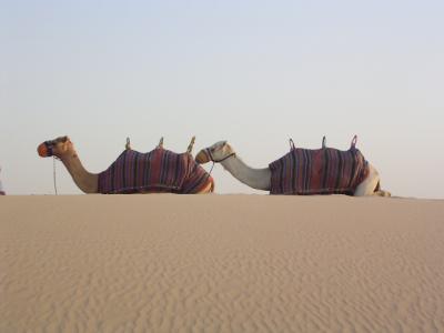 ドバイの砂漠リゾート＆アラブ海ビーチで飲む＆水中ヨガの旅（砂漠編）