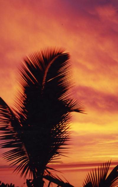 地球の島めぐり４５島目ーマヘ島・エピローグ