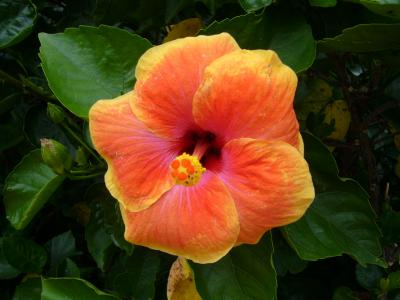 沖縄大満足の旅