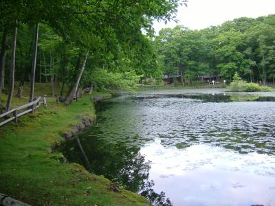 北海道ロングドライブ　大沼公園編