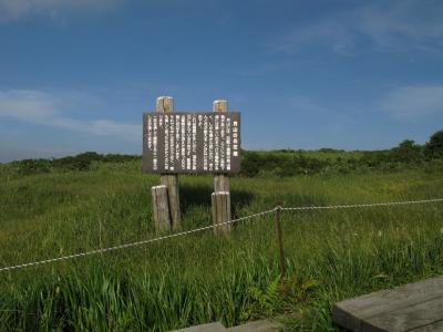 月山・弥陀ヶ原の池塘（チトウ）